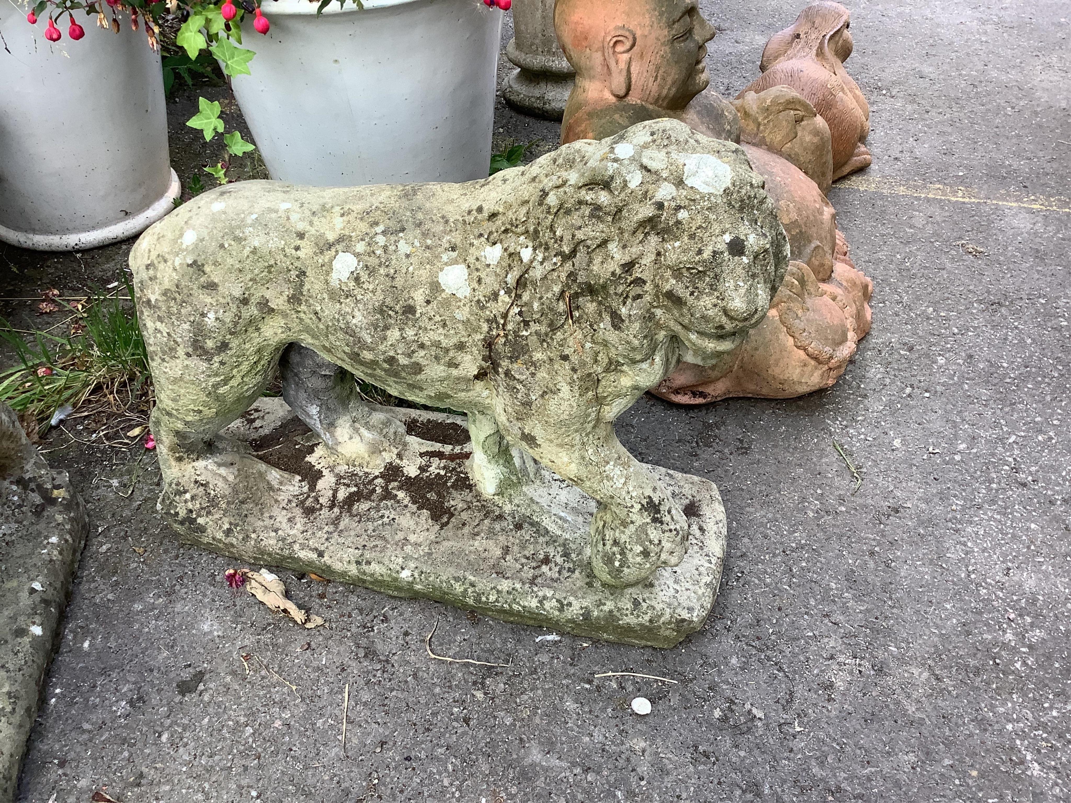 A pair of reconstituted stone standing lion garden ornaments, length 66cm, height 56cm. Condition - fair